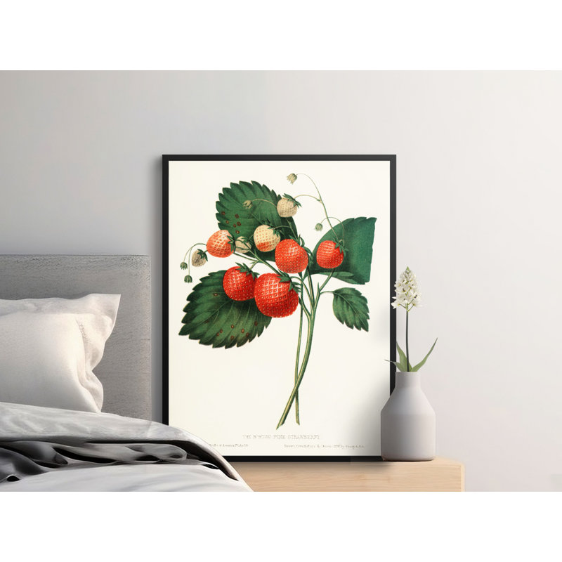 No Frame Print, 18x24
