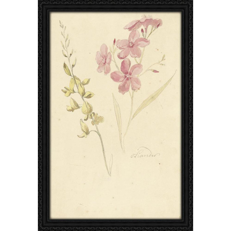 Oleander en brem (1677 - 1755)