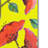 Breagh 'Bohobird' Print on Wrapped Canvas-22073988