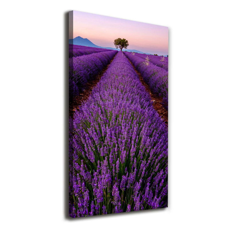 Limes And Water - Wrapped Canvas Print