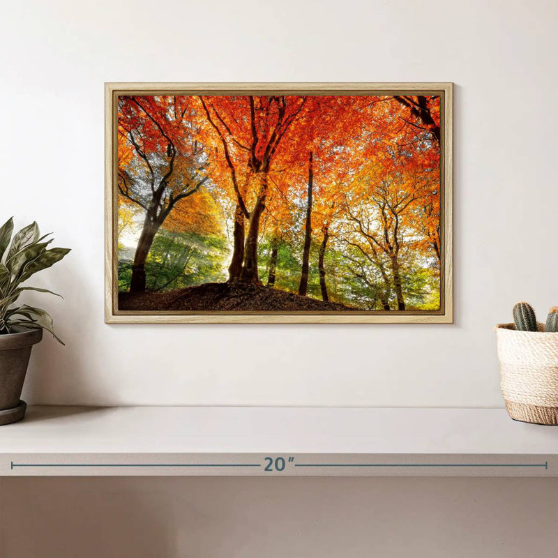 Prisme de la lumière, Cadre flottant en bois naturel, 13 po x 9 po