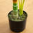 3ft. Artificial Golden Cane Palm Tree