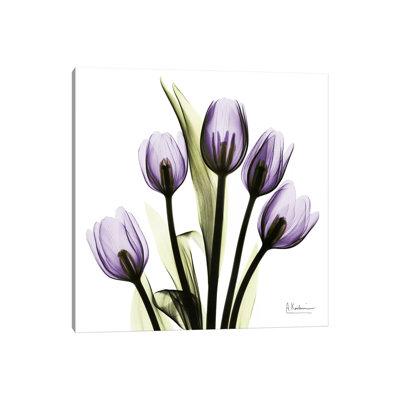 Tulips Imagine by Albert Koetsier - Wrapped Canvas Painting