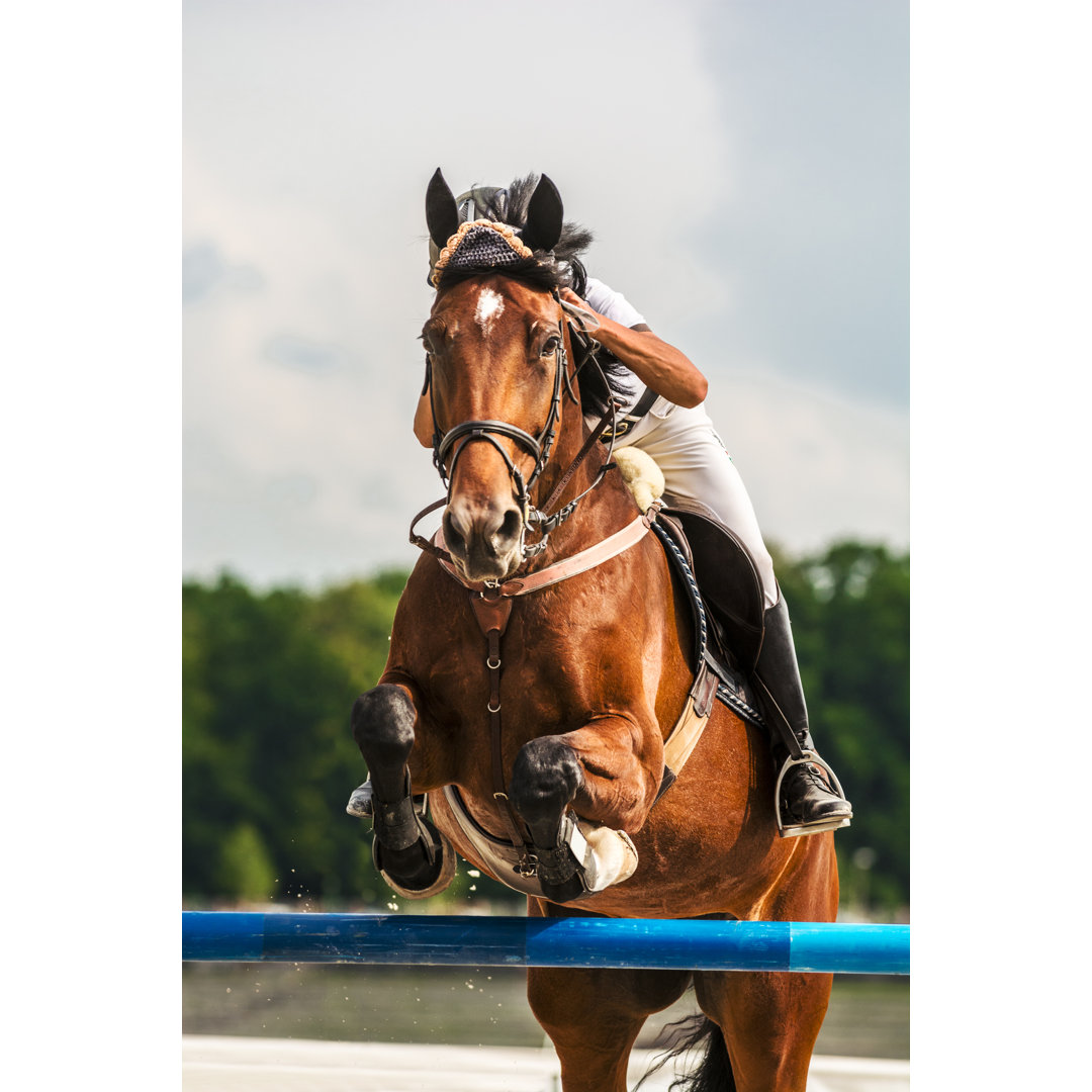 Show Jumping von Zoran Kolundzija - Kunstdrucke auf Leinwand ohne Rahmen