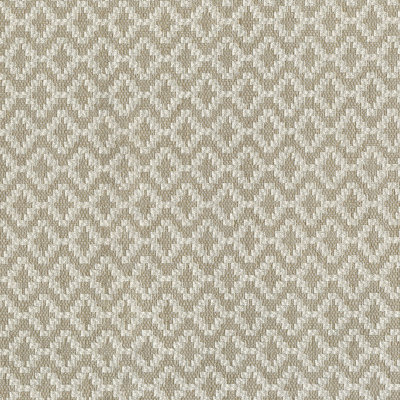 Abbeyshea Wealth Woven Jacquard Fabric By The Yard