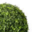 Artificial Boxwood Topiary-278216303
