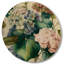 Hydrangena bleu rétro III - Art mural floral en bois - Bois de pin naturel-926256714