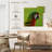Brampt Macaw Bird Head-109376925