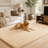 Large Shag Rugs for Bedroom Living Room Decor, Tie Dyed Soft Fluffy Furry Area Rug for Indoor Floor, Aesthetic Carpet for Home Decor-1164077829-1158648133