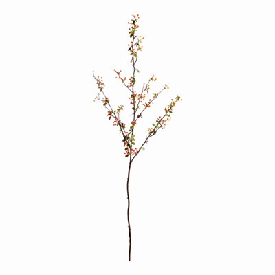  BAIE BRANCHE 48,5 pouces
