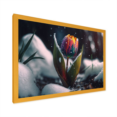 «A Blooming Multicolor Tulip Flower in Winter I», impression sur toile