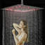 Aife Rain Adjustable Shower Head