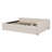 Upholstered Platform Bed With USB And Trundle Bed-950120466