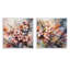 Rose, gris, pommier, Melody-239268579-239268578