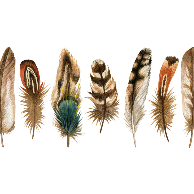 Set Of Brown Feathers - Wrapped Canvas Print, 30cm H x 46cm W x 3.8cm D