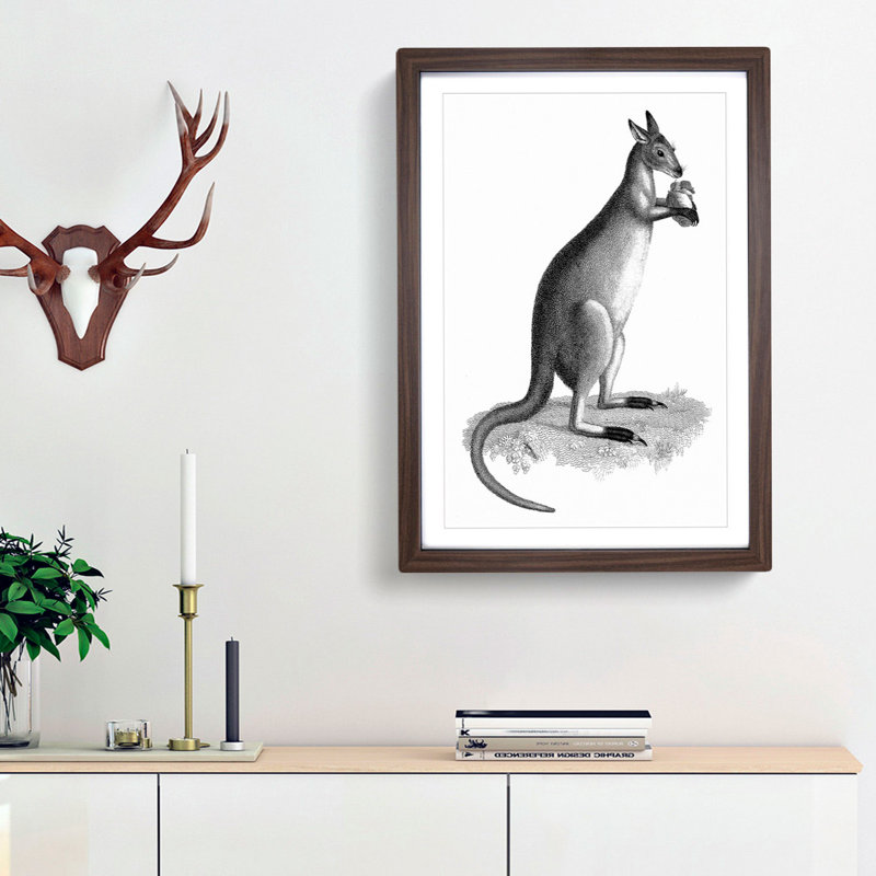 Kangaroo by George Shaw - Picture Frame Graphic Art Print, 48cm H x 36cm W x 2cm D, Walnut Framed