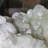 Anglin Landscape & Nature Figurines & Sculptures