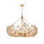 12-Light Dimmable Flower Crystal Chandelier