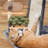 Zutphen 69'' H Cat Tree-1317669299