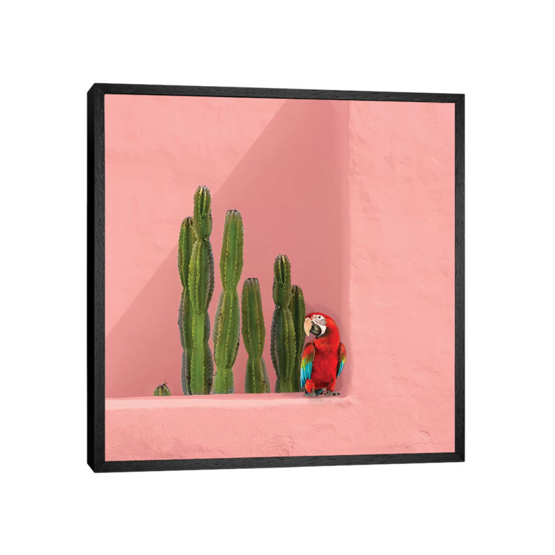 Macaw On Coral by Erin Summer - Print on Canvas, 66.04cm H x 66.04cm W x 3.81cm D, Black Framed