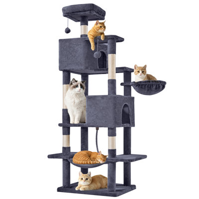 Arbre à chat
