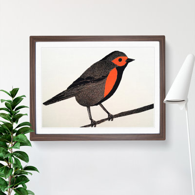 Shining Robin Bird - Framed Print