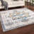 Hyler Moroccan Indoor Rug-1074423565