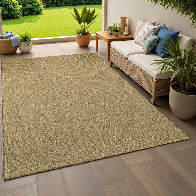 Indoor / Outdoor Rug
