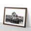 Two Elephants - Picture Frame Graphic Art Print-56734794-56734797