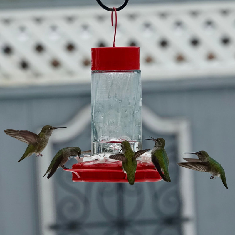 Gravity Hummingbird Feeder – Scarlet Swirl
