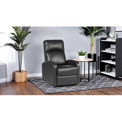 Sadina 25.6cm Wide Standard Recliner