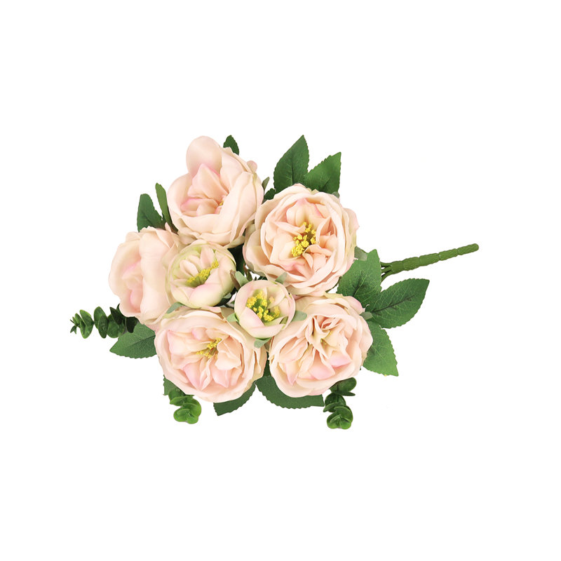 Arrangement de tiges de roses, de buissons et de jets, Rose ivoire