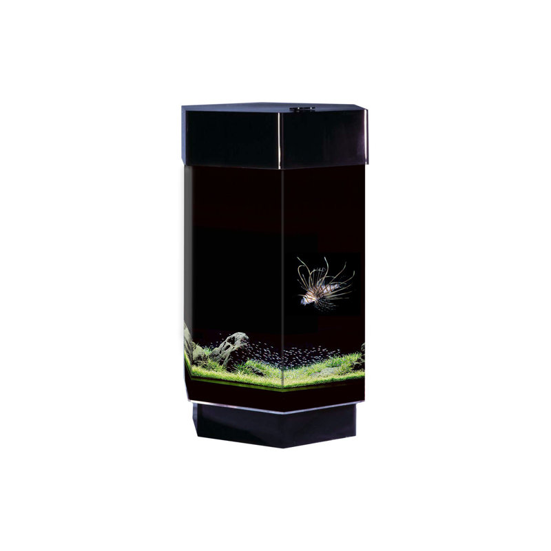 Alan 8 Gallon Scape Hexagon Alanrium Kit