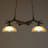 Antlers 2 Lights Chandelier