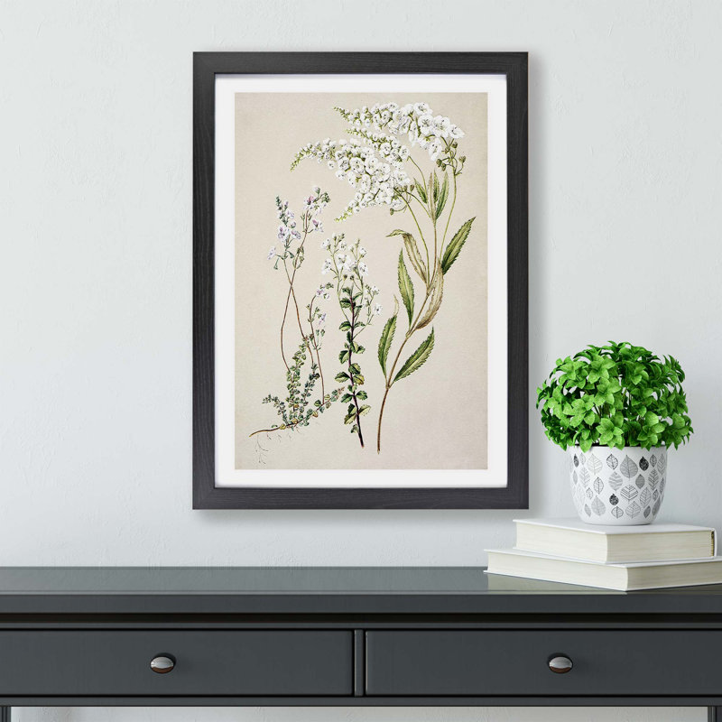 Veronica Flowers - Framed Print, 24cm H x 33cm W x 2cm D, Black
