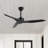 Artisha 50'' Ceiling Fan-684973096