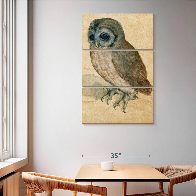 The Little Owl