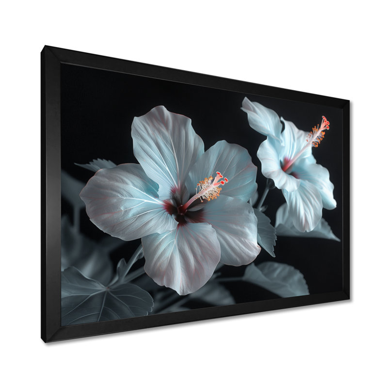 Hibiscus blanc et rose transparent - art mural hibiscus, H 12 po x l 20 po, Cadre simple noir