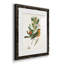 Oiseau antique, botanique et œuf I - ensemble de 2 reproductions d'art sur papier encadré-1329192741-1329192762