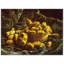 Vincent Van Gogh - Wrapped Canvas Painting-21213174