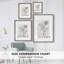 Kelp III Framed Print - Solid Wood 50653-795024855