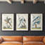 Cadre Pastel Birds IV Premium - prêt à accrocher-1447607541-1447607540