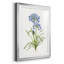 Blue Lived Botanical I - Cadre photo, reproduction d'art sur papier-847047002-847047001