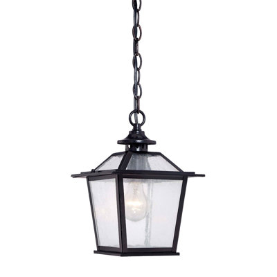 Luminaire suspendu en forme de terrarium noir mat