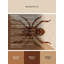 Tapis lavable à la machine Pavli Tarantula-1704990850