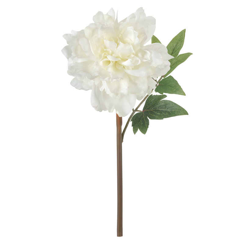 Tige de pivoine House of Hampton®, Blanc, H 14 po x l 8 po x P 5 po