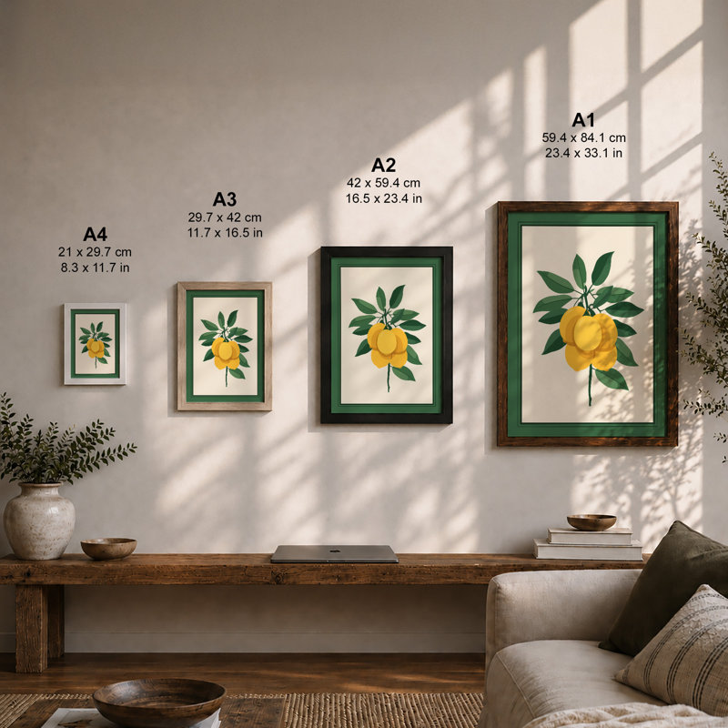 Lemon Study Botanical - Framed Print, Oak, A4 - 29.7 x 21.0 cm