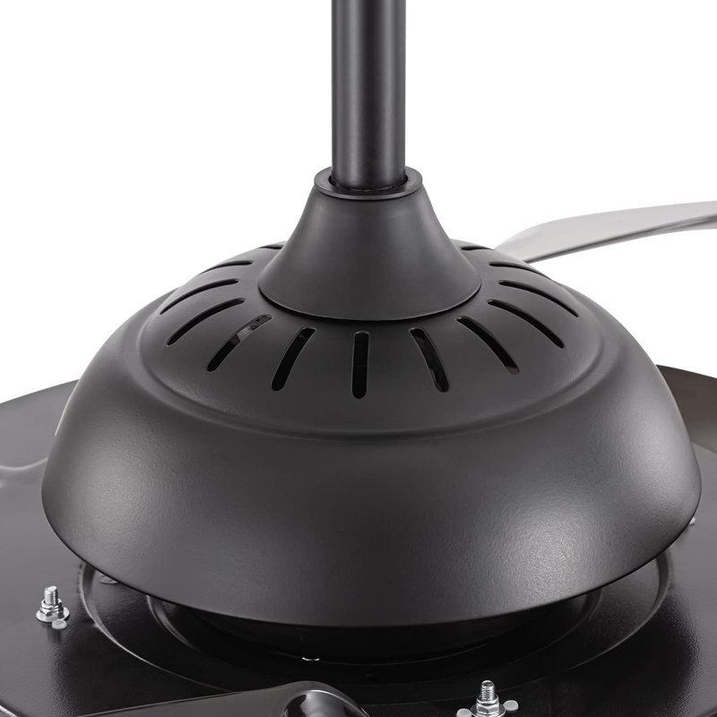 Jacoby-Leyva 20'' Ceiling Fan with Light Kit