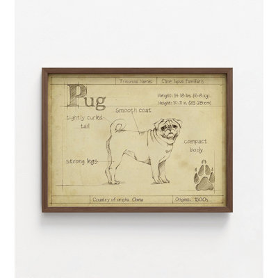 Reproduction murale de carlin, art encadré de petit chien, art de carlin mignon, affiche de chien rétro, art rétro, art mural pour animal de compagnie, impression de petit chien, art mural encadré