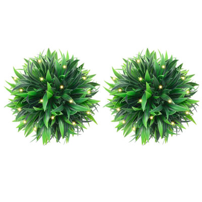 20cm Plant